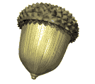acorn_spin_lg_wht.gif